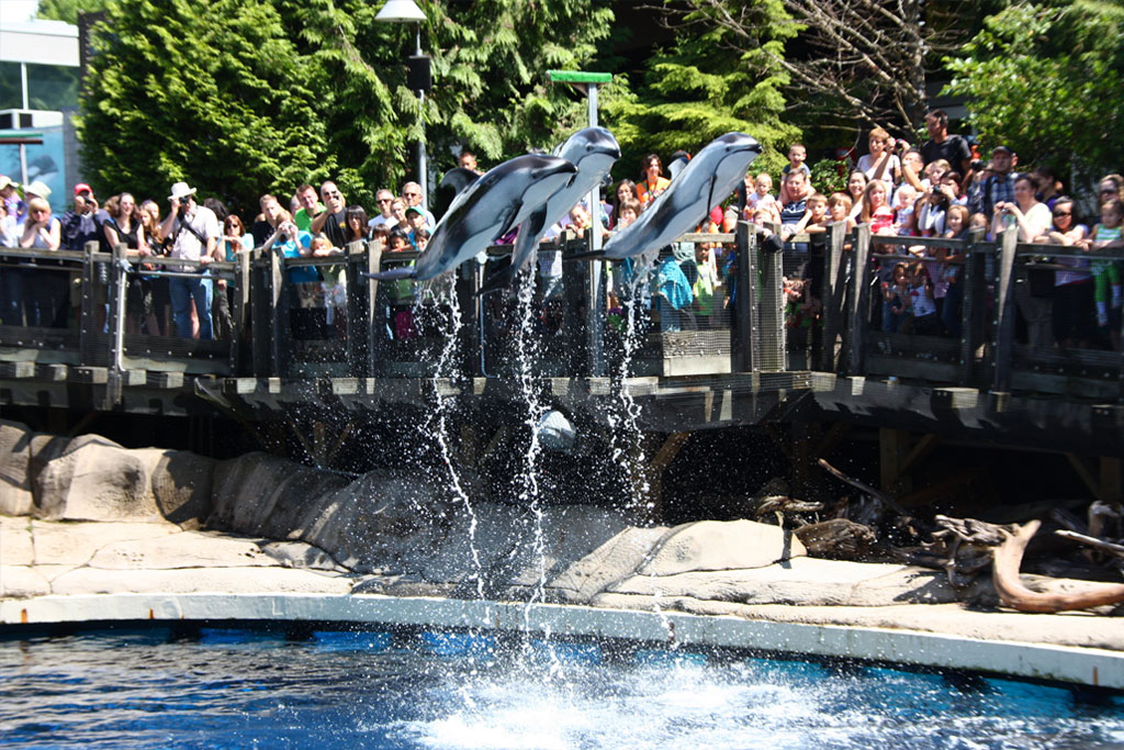 Vancouver Aquarium