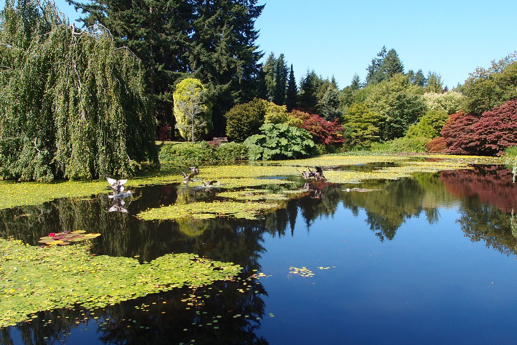 Vandusen Botanical Garden